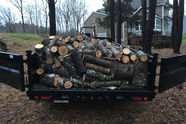 Chapman Land Services LLC - Tree Removal