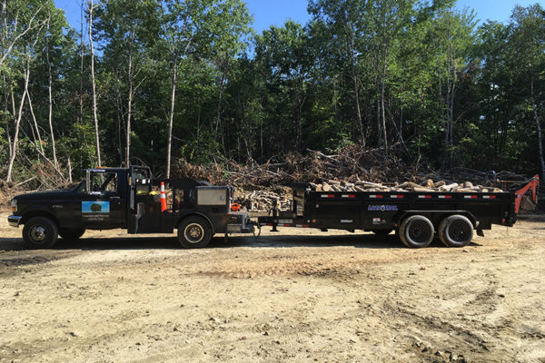 Chapman Land Services LLC - Tree Removal