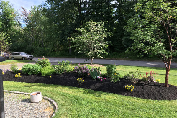 Chapman Land Services LLC - Tree and Flower Landscaping Installation